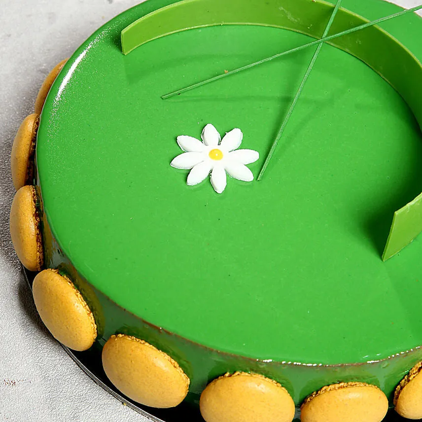 Choco Pistachio