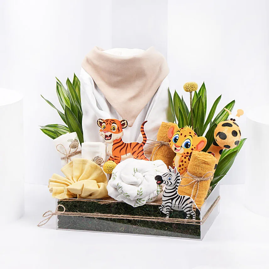 Happiness Hamper New Born Baby
