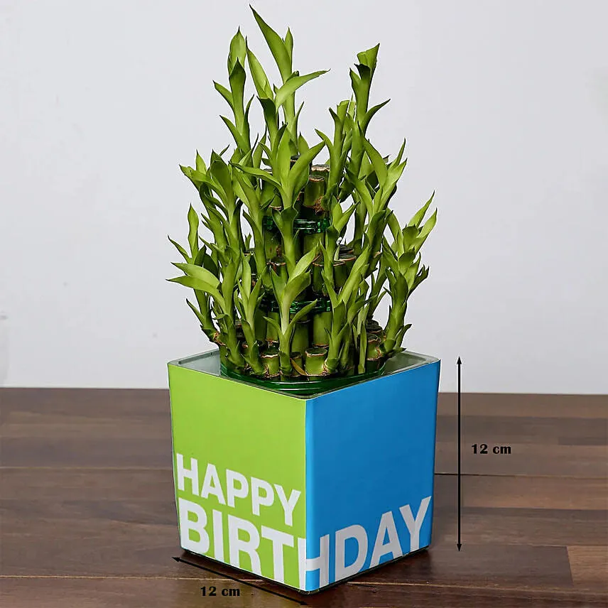 3 Layer Bamboo For Birthday
