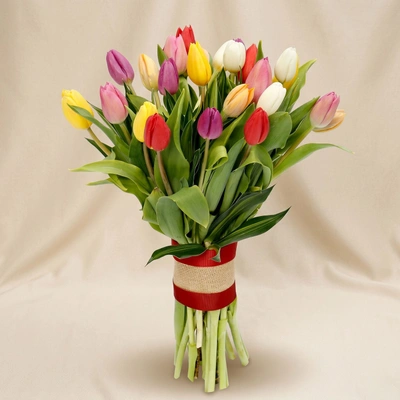 Twenty Five Vibrant Tulips Bunch