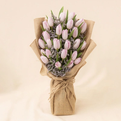 Blushing Pink Tulips