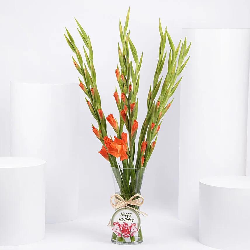 Birthday Wishes Orange Gladiolus