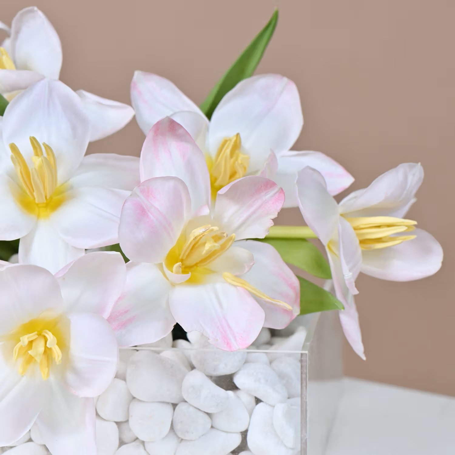 Tulips Arrangement