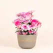 A Bloomed Beginning: Elegant Pink Floral Arrangement - Small