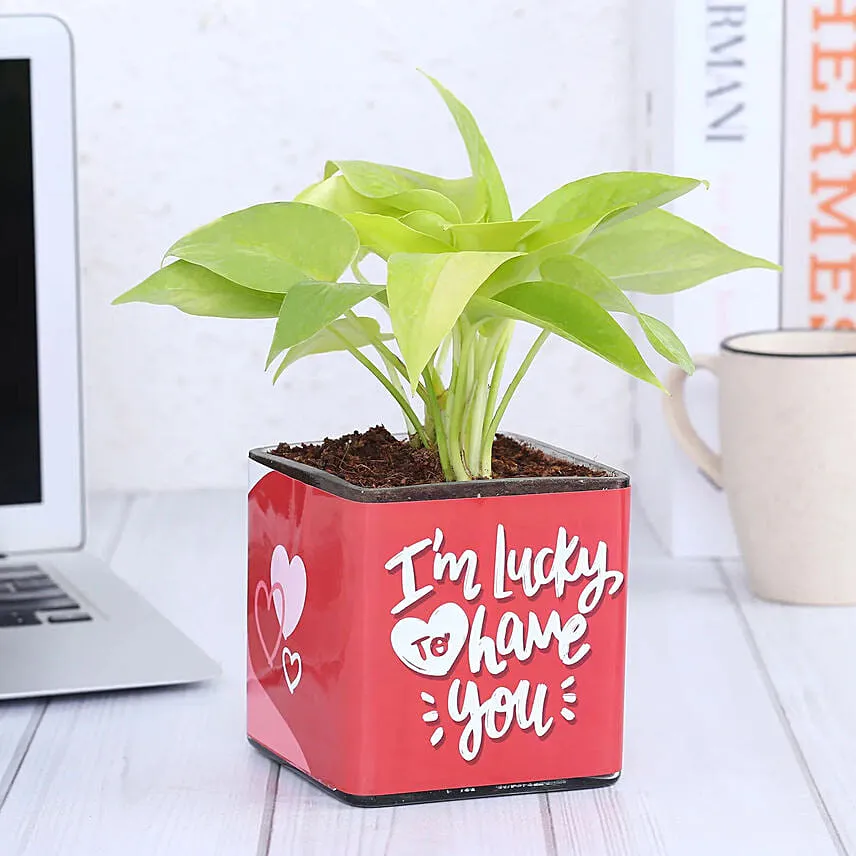 Money Plant In Lucky To Have You Glass Pot