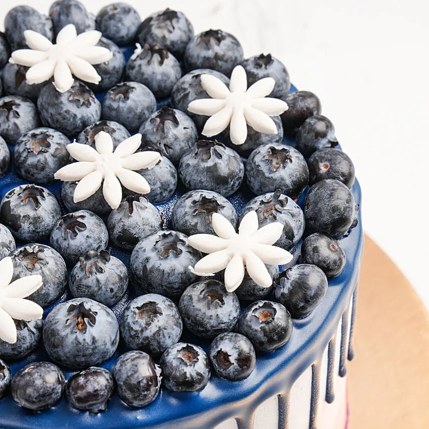 Yummy Blueberry Drip Cake