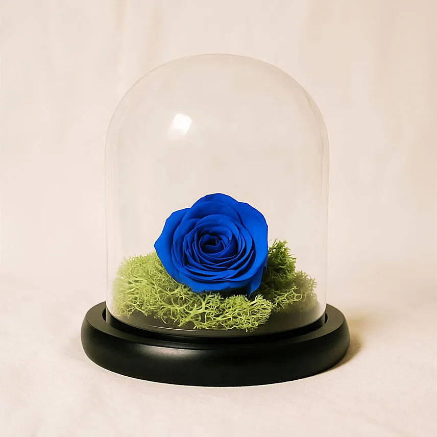 Forever Rose In Glass Dome- Blue