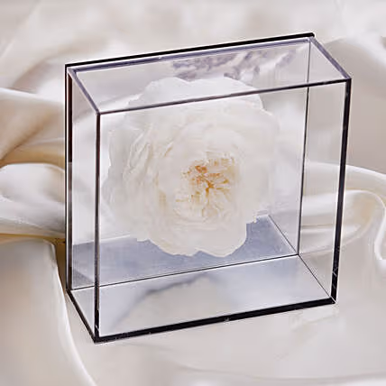 Elegant White Preserved Peony in Luxurious Mirror Box