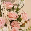 سحر الباستيل الناعم