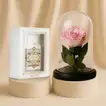 Majestic Pink Forever Rose with Oud Essence Gift Set