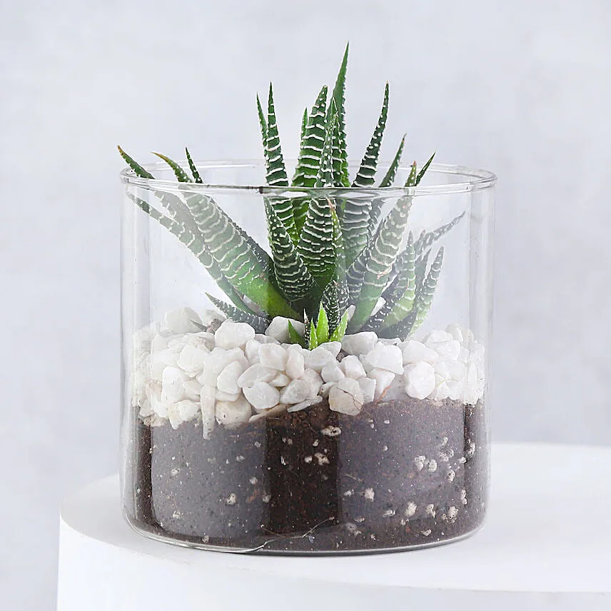 Natures Symphony Gift Box For Mom