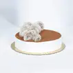 Exquisite Tiramisu Cake - Perfect for Every Celebration