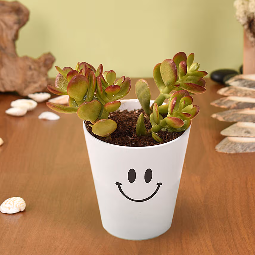 Adorable Masterpiece with Mug for Teacher