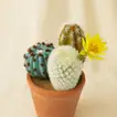 Artificial Cactus Pot