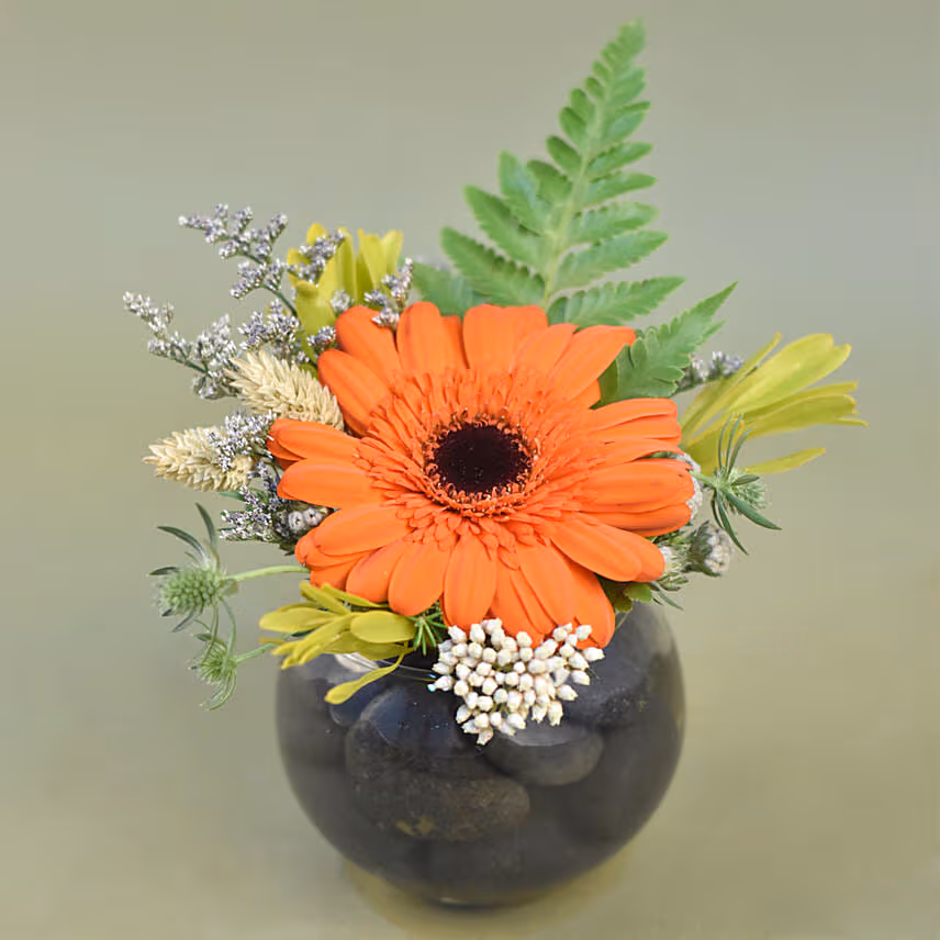 Gerberas Fish Bowl Vase Trio