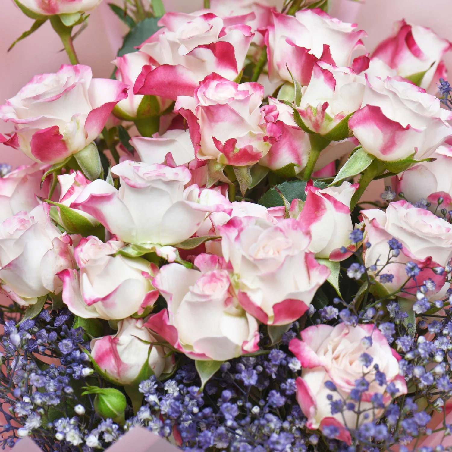 Baby Rose Symphony - Bouquet