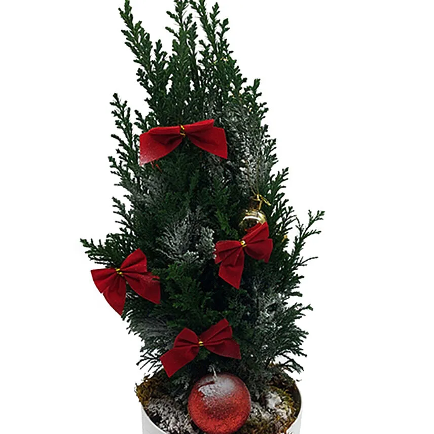 Decorated Christmas Tree