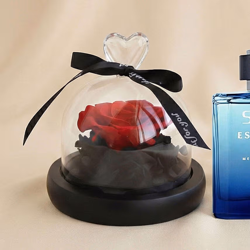 Valentine's Day Forever Red Rose n Perfume Gift For Him