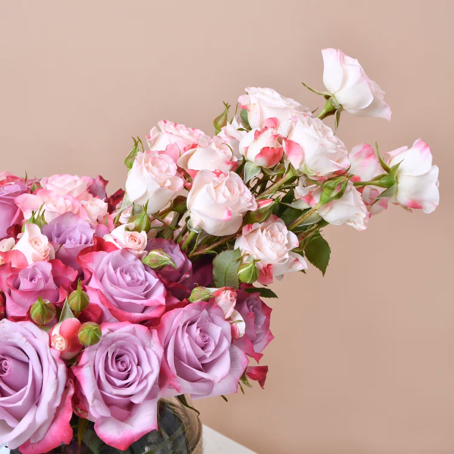 Pretty in Pink and Purple Roses
