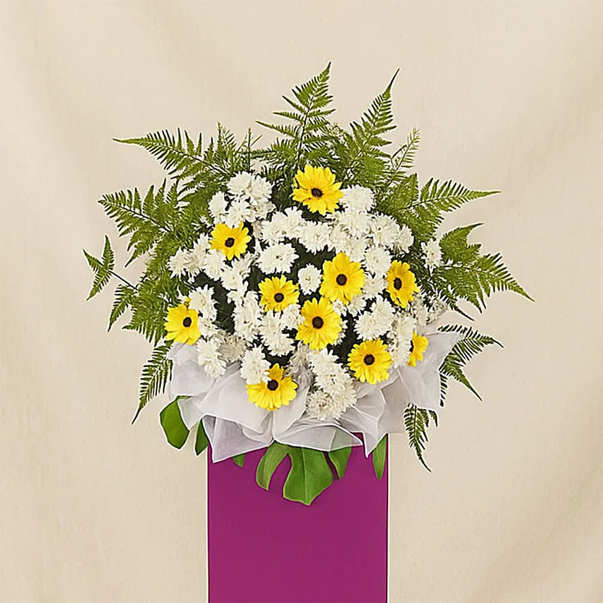 Yellow Gerberas White Pom In Beautiful Pink Stand