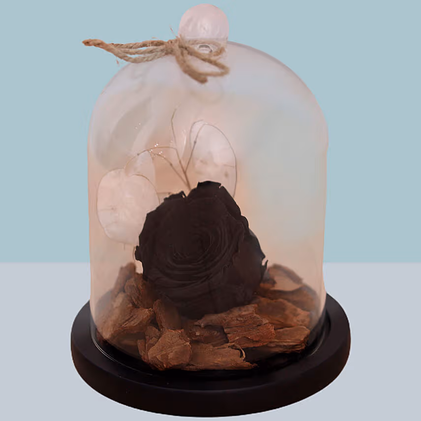 Black Forever Rose In Glass Dome For Valentines Day