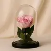 Elegant Rose Glow Glass Dome - Preserved Pink Forever Rose