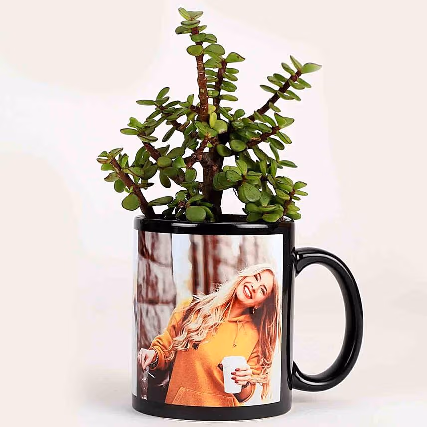 Jade Plant Personalised Black Mug & Chocolates