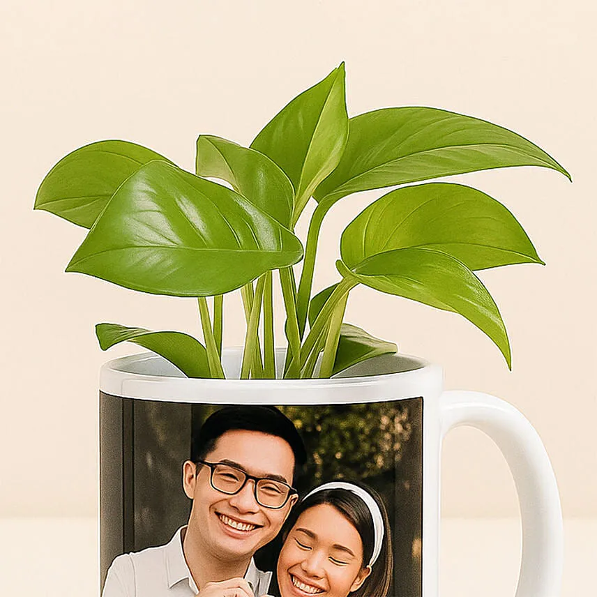 Picture Mug Money Plant