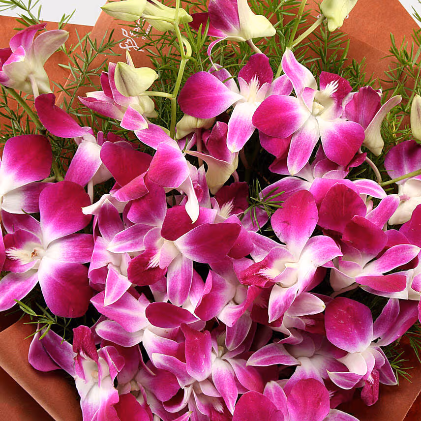 Six Exotic Purple Orchids Bouquet