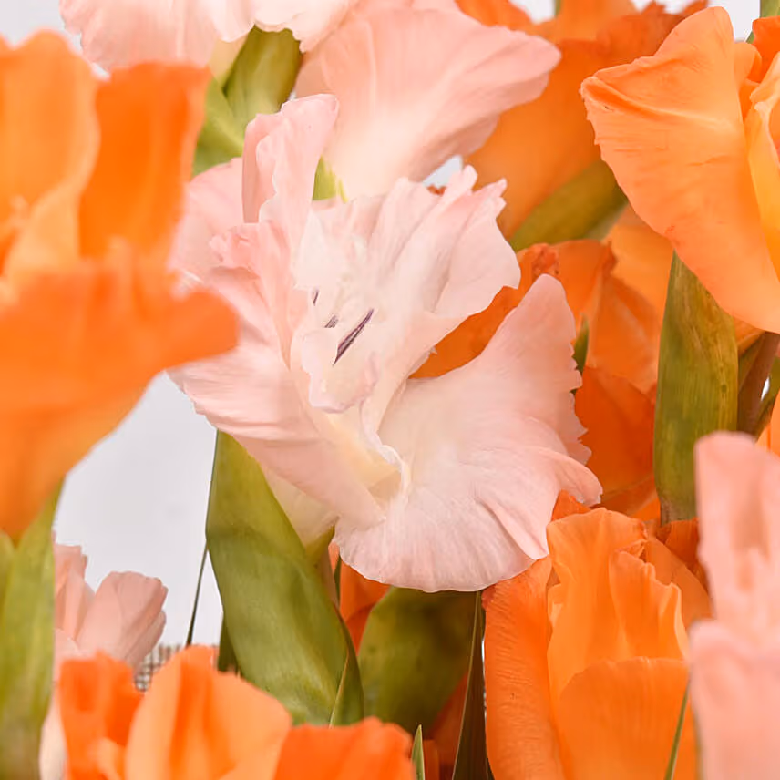 October Birthday Gladiolus Flower Bouquet