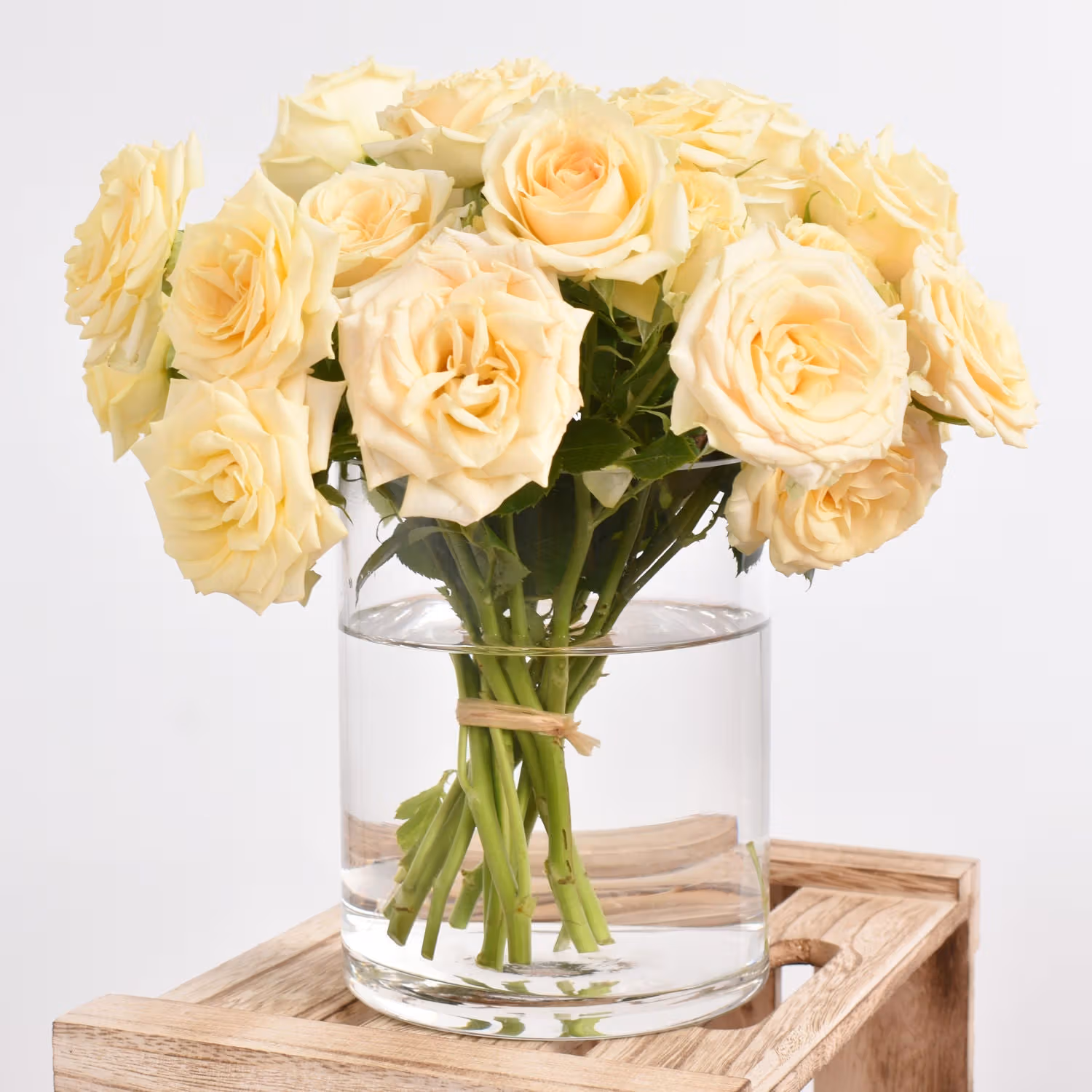 Trio of Rose Beauty