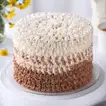 Swirly Chocolate Cream Cake