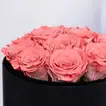 Heartfelt Blossoms | Luxurious 12 Pink Forever Roses in Elegant Black Box - Pink