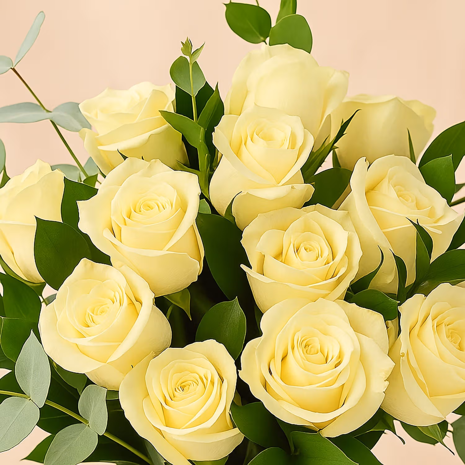 Vase Of Elegant White Roses