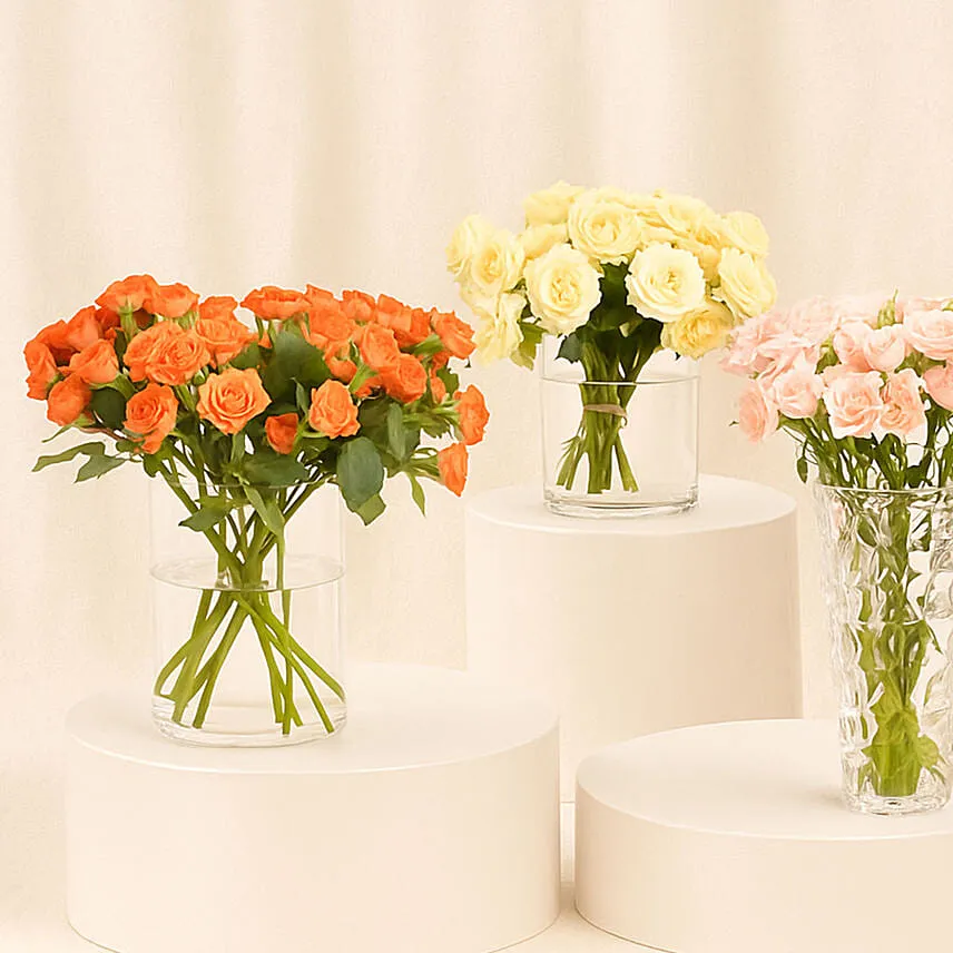 Trio of Rose Beauty