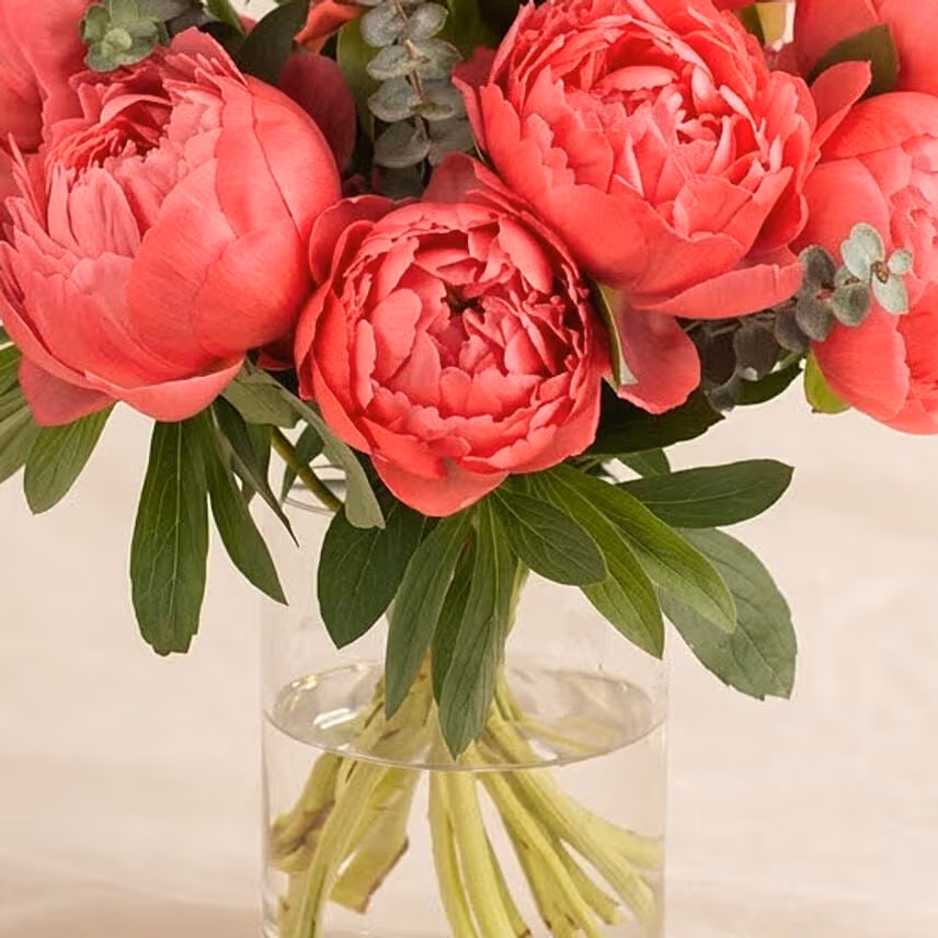 Perfect Pink Peonies