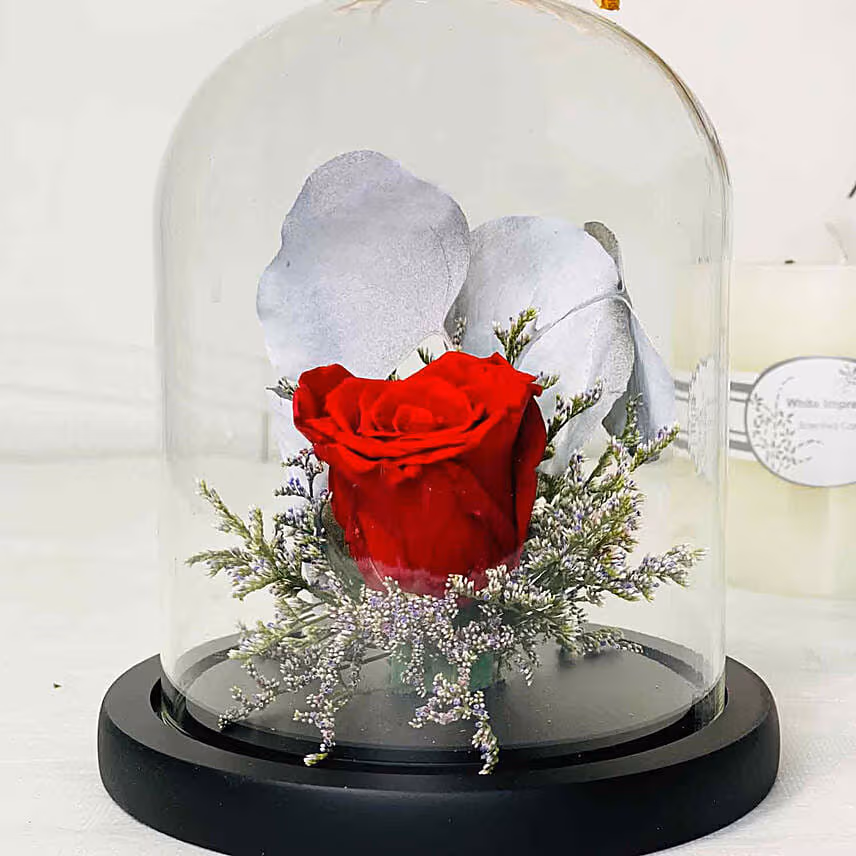 Single Red Forever Rose In Glass Dome for Valentines