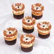 Adorable Lion-Themed Vanilla Cupcakes - Set of 6 Designer Treats