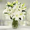 Serene Arrangement of Lovely White Lilies