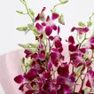 Splendid Purple Orchids Bunch