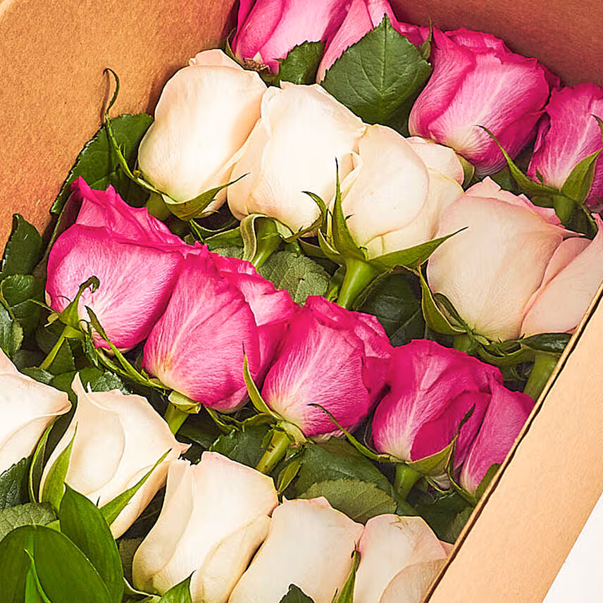 Mesmerizing Mixed Roses Box