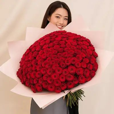 600 Red Roses Bouquet
