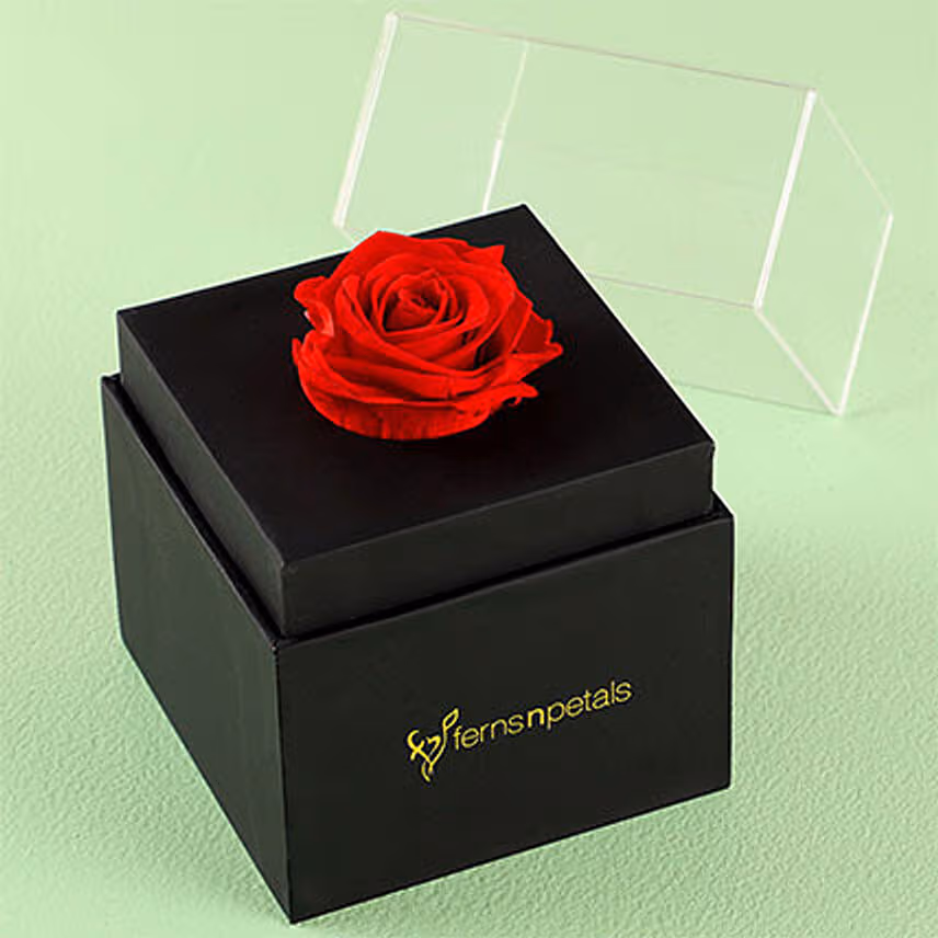 Forever Red Rose Box With Mini Mousse Cake For Valentines