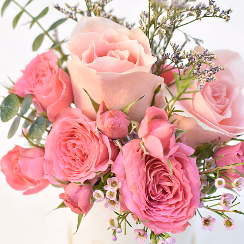 Blushing Beauties