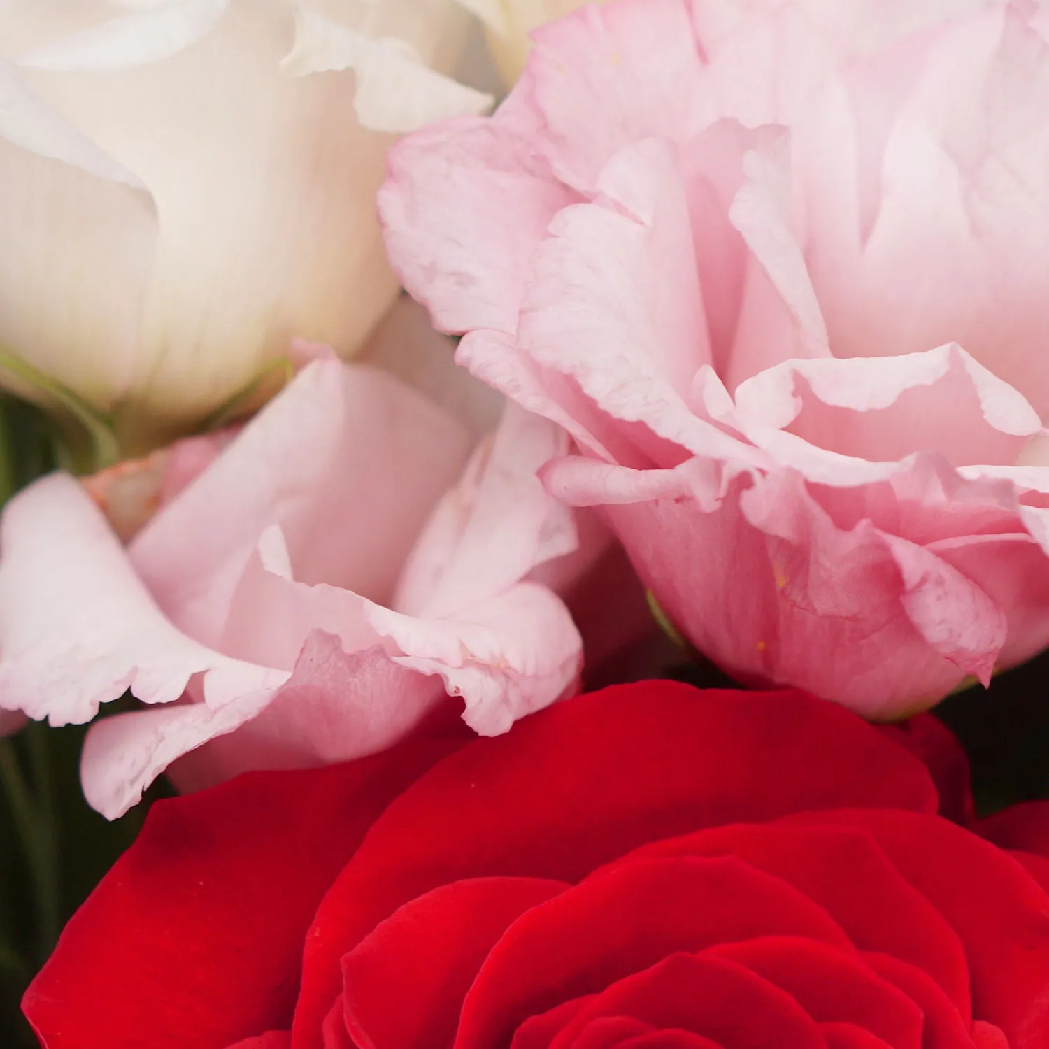 Beautiful Mixed Flowers Bouquet