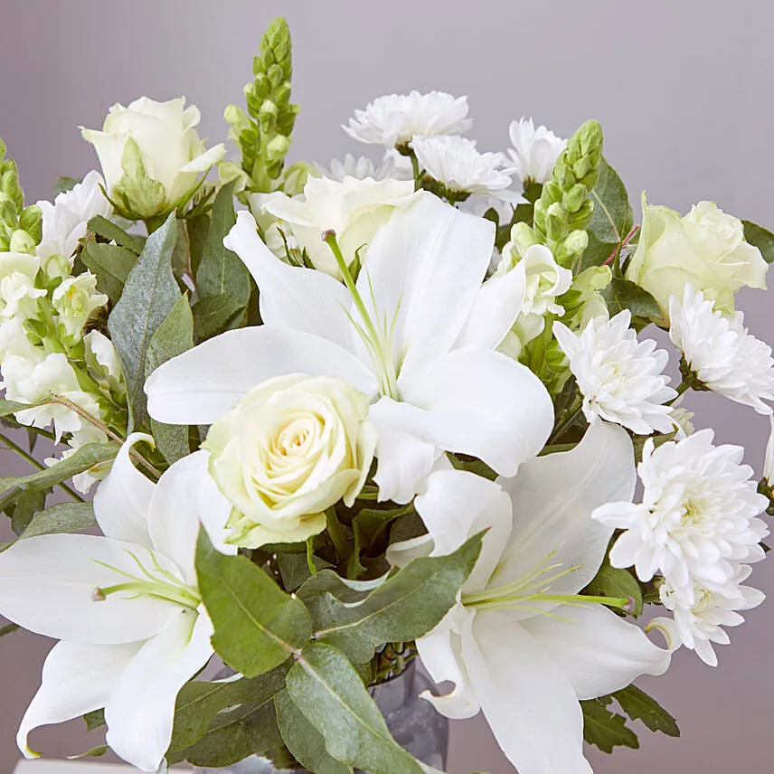 White Beauty