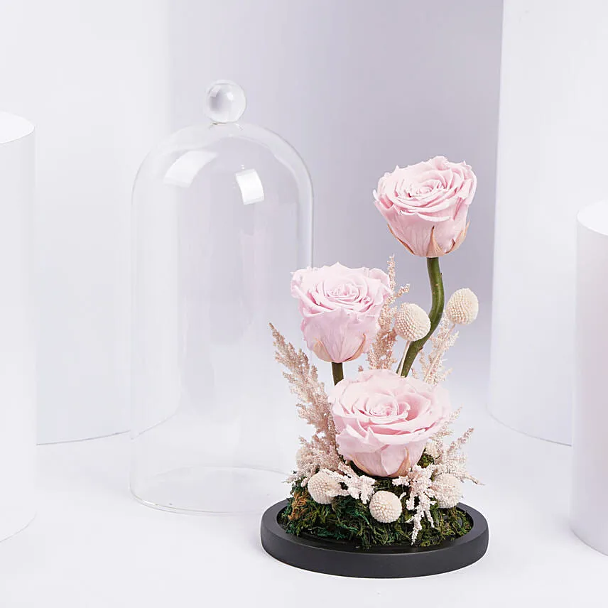 Pink Forever Roses Arrangement