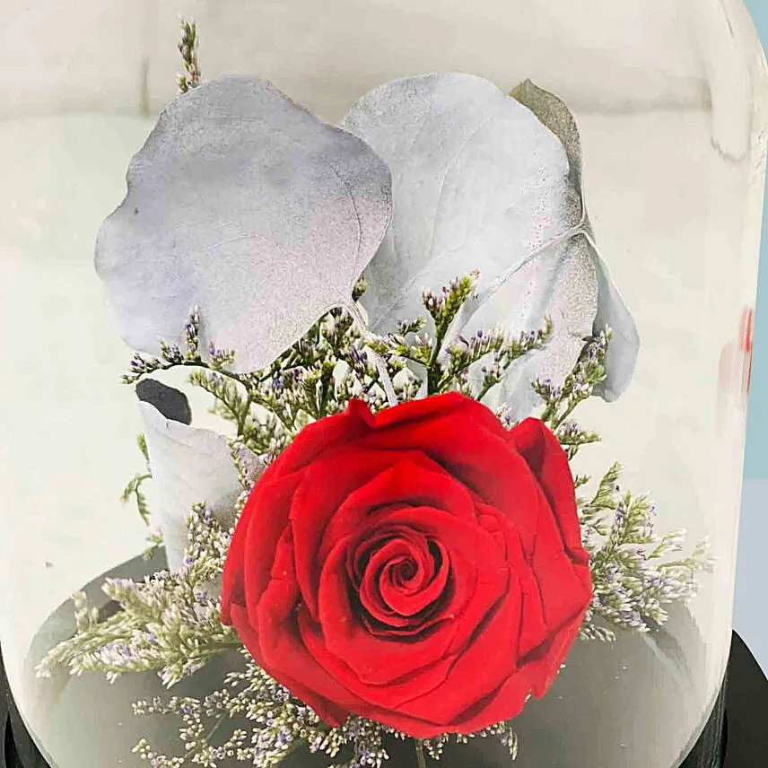 Red Forever Rose in Dome for Valentines Day