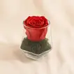 Red Forever Rose Vase 
