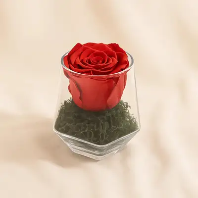 Red Forever Rose Vase